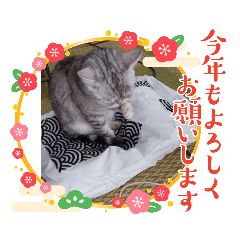 [LINEスタンプ] 黄昏の日々