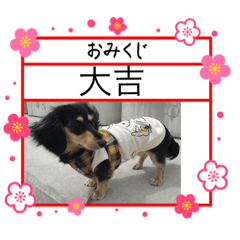 [LINEスタンプ] M.ダックス(いやし)
