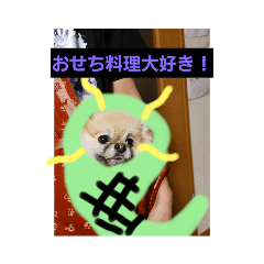 [LINEスタンプ] 家のペット可愛い達龍年お正月ばんの画像（メイン）