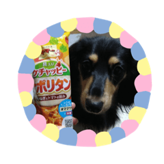 [LINEスタンプ] M.ダックス(ケチャピーちゃん)
