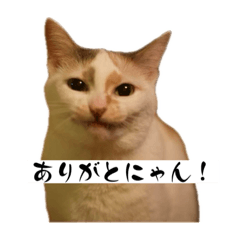 [LINEスタンプ] にしつじくららのスタンプ