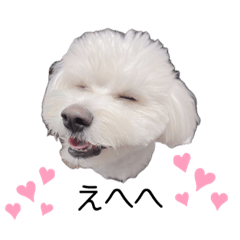 [LINEスタンプ] ポメビションのまる2