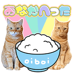 [LINEスタンプ] 茶トラ兄弟「オイボイ」日常ver.