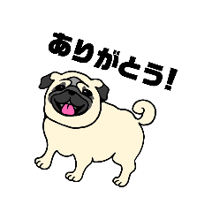 [LINEスタンプ] 毎日使える♪パグ犬もちおくん