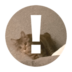 [LINEスタンプ] ねこのうなぎ①