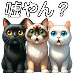 [LINEスタンプ] 仲良し3匹の猫ちゃん