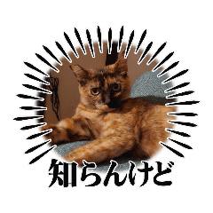 [LINEスタンプ] とびこスタンプ2