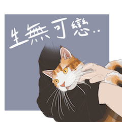 [LINEスタンプ] 人生は難しい、猫になりたい