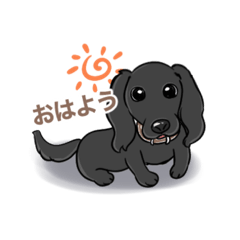 [LINEスタンプ] 株式会社おっくん