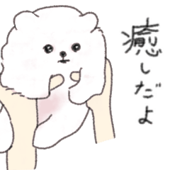 [LINEスタンプ] 癒しの赤ちゃんポメラニアン