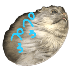 [LINEスタンプ] 虎くんスタンプ第二弾