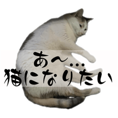 [LINEスタンプ] にしつじくららのスタンプ2