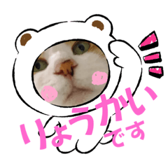 [LINEスタンプ] 親戚の子シーちゃん