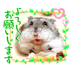 [LINEスタンプ] すぴかたんのきもち