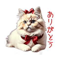 [LINEスタンプ] ペルシャ猫♡毎日使いやすいスタンプ