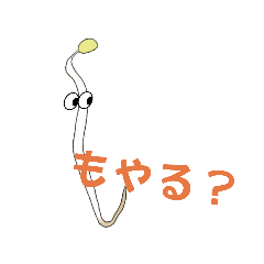 [LINEスタンプ] 今日からモヤシのスタンプ