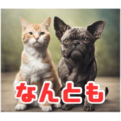 [LINEスタンプ] 犬と猫のスタンプ12