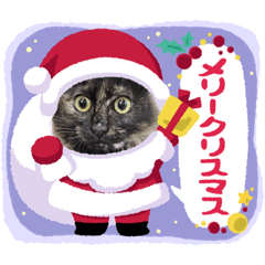 [LINEスタンプ] おはなちゃんのごあいさつの画像（メイン）