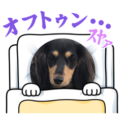 [LINEスタンプ] M.ダックス(ランちゃん3)