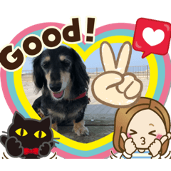 [LINEスタンプ] M.ダックス(ランちゃん4)