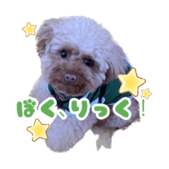 [LINEスタンプ] ぼくりっく！ 2