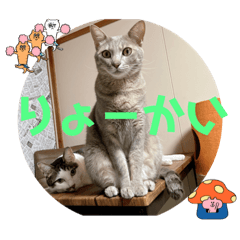 [LINEスタンプ] しらたまとこんにゃく③