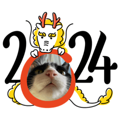 [LINEスタンプ] ハチワレはっちゃん2024