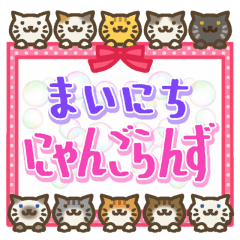 [LINEスタンプ] まいにち にゃんごらんず