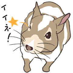 [LINEスタンプ] ゆかいなデグーの仲間たち♪