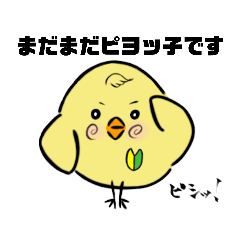 [LINEスタンプ] とわのひよ子 日常編1