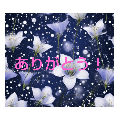 [LINEスタンプ] 超開運 桔梗