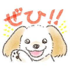 [LINEスタンプ] ハーフ犬マルックス ラテちゃんです！2