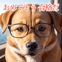 [LINEスタンプ] 賢いメガネ犬スタンプ