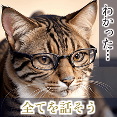 [LINEスタンプ] 賢いメガネ猫スタンプ