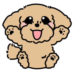 [LINEスタンプ] むぎくん(マルプーmix犬)【再修正版】