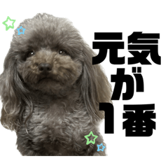 [LINEスタンプ] ちょびさんだよ！