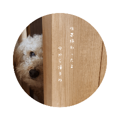 [LINEスタンプ] そらの日常生活PART1