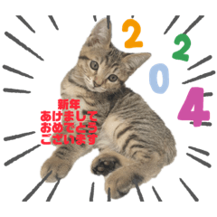 [LINEスタンプ] ねこのうなぎ〜新年Ver〜