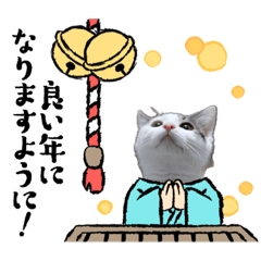 [LINEスタンプ] ねこのこたつとおこめのあけおめスタンプの画像（メイン）