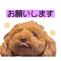 [LINEスタンプ] Princessちゃん第3弾