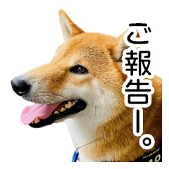 [LINEスタンプ] 日常的な会話をする柴犬_4