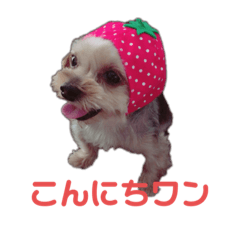 [LINEスタンプ] まっくとぎんちゃん