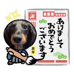 [LINEスタンプ] まろ犬モカのお正月