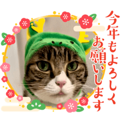[LINEスタンプ] キャッツの新年のご挨拶スタンプ