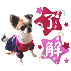 [LINEスタンプ] ランくん*