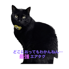 [LINEスタンプ] 黒猫・あめちゃん・関西弁3