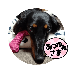 [LINEスタンプ] まろ犬モカstamp