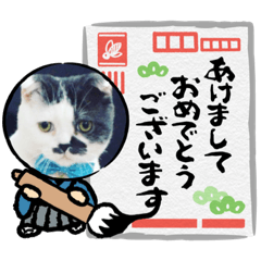 [LINEスタンプ] みー様の挨拶