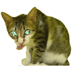 [LINEスタンプ] そらたのともだち