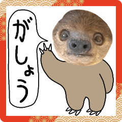 [LINEスタンプ] ナマケモノのお正月 ずっと使えるヨ